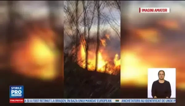 O femeie de 69 de ani a murit intr-un incediu, dupa ce locuinta i-a luat foc. Ce i-a impiedicat pe pompieri sa intervina