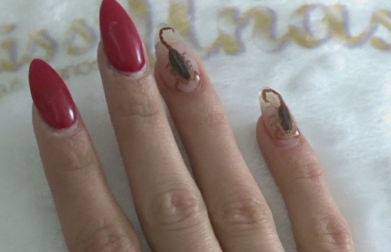 Manichiura cu scorpioni adevarati, marea atractie a unui salon din Mexic. Cum s-a ajuns la acest model inedit