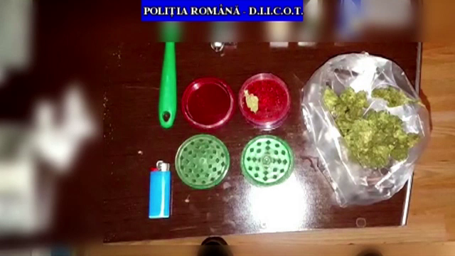 60 de persoane suspectate de trafic si consum de droguri de mare risc, audiate la Ploiesti