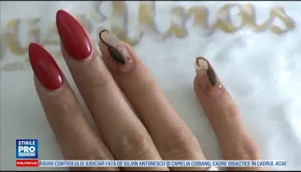 Manichiura cu scorpioni adevarati, marea atractie a unui salon din Mexic. Cum s-a ajuns la acest model inedit
