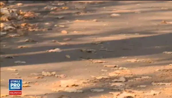 Boala lor poate fi vindecata, insa autoritatile romane le-au taiat accesul la tratament. Mesaj cinic: Aveti putina rabdare