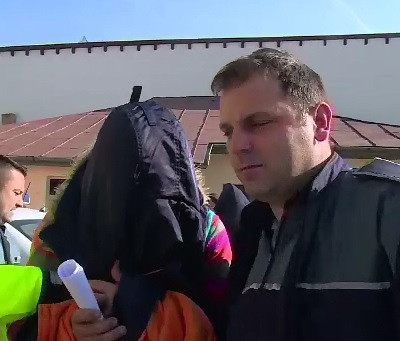 Opt caini Husky si Amstaff, furati din curtea unui barbat. Cati au mai reusit sa recupereze politistii