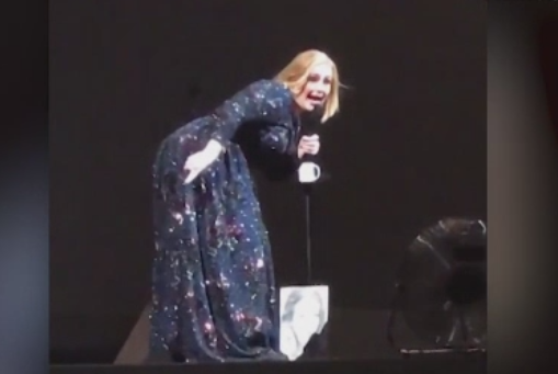 Adele s-a speriat de un liliac, in timpul unui concert in Mexic. "A aterizat chiar langa capul tau"