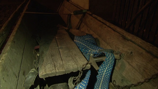 Doi cai au murit electrocutati, dupa ce au atins linii de inalta tensiune cazute pe jos. Cum a scapat stapanul lor cu viata