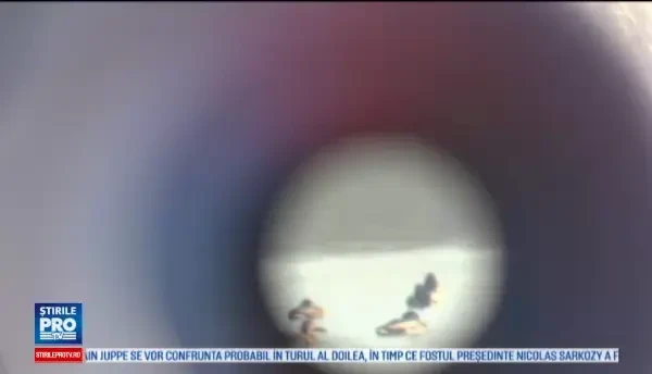 Spectacol impresionant pe lacurile din Mures. Speciile de pasari rare care isi petrec iarna aici