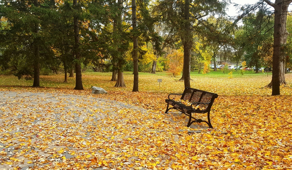 Umezeala si burnita in aceste zone din Romania. Maximele ajung astazi la 15 grade