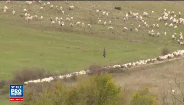 Dorm in masini de teama unui nou cutremur, dar refuza sa se intoarca in Romania. Cu ce se ocupa sotii Ilies in Italia
