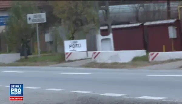 Cei mai cautati porci in acest an pentru masa sa Craciun. Preturile ajung si la 15 lei pentru animalele in viu