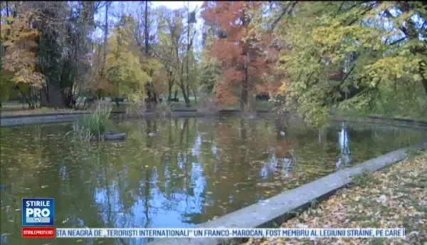 Horoscop 23 noiembrie 2016. Racii primesc bani astazi, iar Balantele dau lovitura