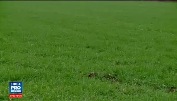 Au promis mai mult decat pot da. Nu exista teren pentru tinerii care pot cere de la stat prin lege 50 de hectare de pamant