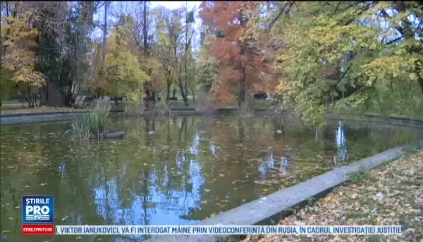 horoscop 24 noiembrie