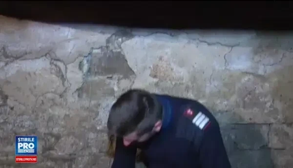 O caprioara fugarita de caini a fost salvata in ultima clipa de un pompier din Bistrita-Nasaud. Unde se afla animalul acum