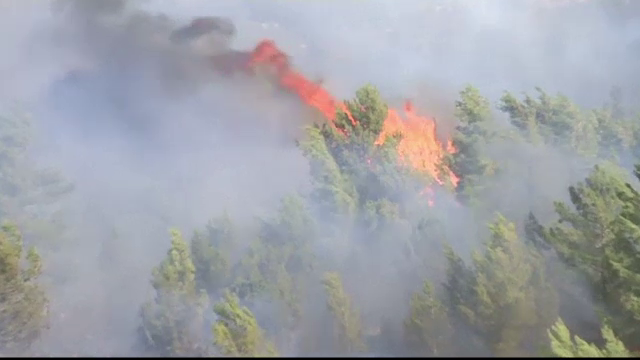 12 suspecti arestati in cazul incendiilor uriase din Israel. 80.000 de oameni au fost evacuati. "Este un caz de terorism"
