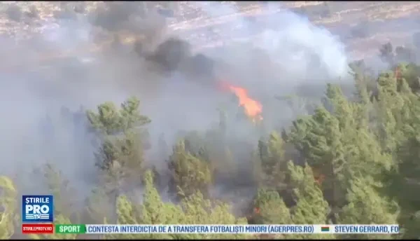 60.000 de locuitori din Haifa, evacuati din calea unui incendiu masiv. Politia nu exclude varianta unui caz de terorism