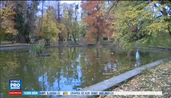 Horoscop 25 noiembrie 2016. Taurii trebuie sa se gandeasca la o strategie in sfera profesionala, iar Racii pleaca in vacanta