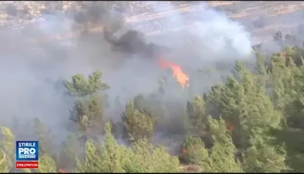 12 suspecti arestati in cazul incendiilor uriase din Israel. 80.000 de oameni au fost evacuati. Este un caz de terorism