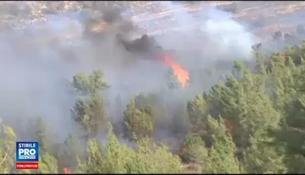 12 suspecti arestati in cazul incendiilor uriase din Israel. 80.000 de oameni au fost evacuati. Este un caz de terorism
