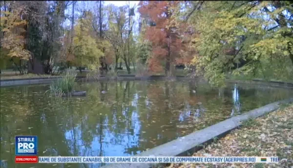 Horoscop 26 noiembrie 2016. Astazi, Varsatorii sunt ceruti in casatorie, iar Balantele pleaca intr-o excursie de week-end