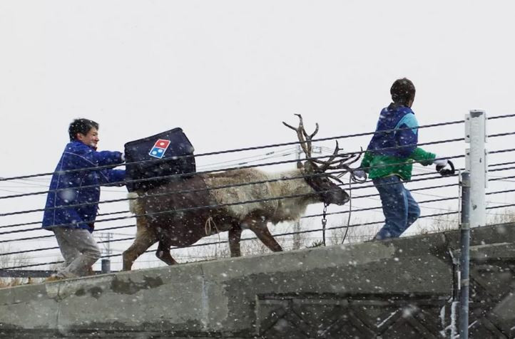 Gigantul care experimenteaza livrarea de pizza cu reni. Cum au decurs pregatirile. VIDEO