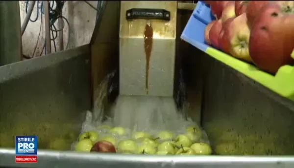 Romanii au inceput sa bea tot mai multe sucuri naturale, facute din fructe proaspete. Cat de profitabil e pentru producatori