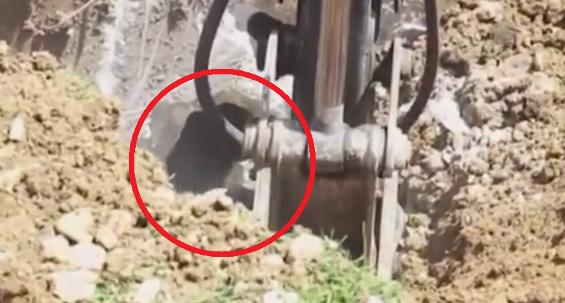 Cativa muncitori care au sapat o groapa in pamant au ramas socati cand au vazut ce a iesit dinauntru. VIDEO