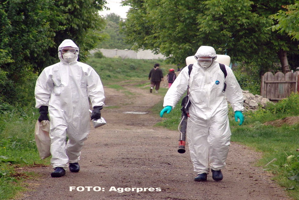 Alerta in Romania. A fost gasita o lebada moarta, iar analizele au confirmat ca este vorba de un caz de gripa aviara