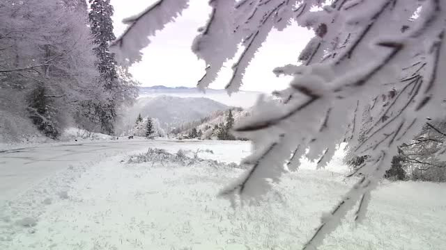Un val de aer polar a patruns pe teritoriul Romaniei. Zonele in care va ninge si va fi viscol in urmatoarele zile