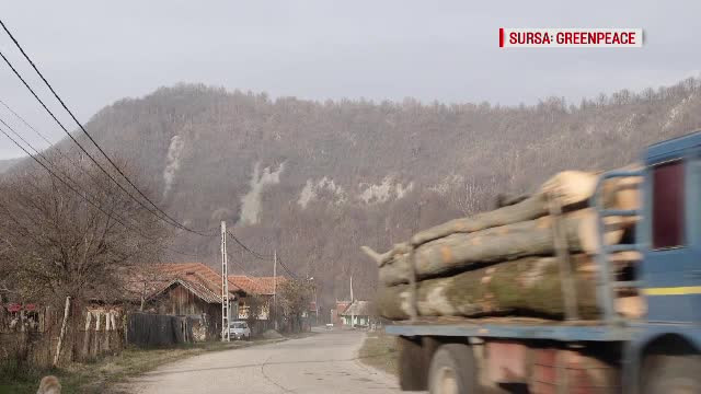 Poliţist, atacat şi dezarmat. Agresorii au fost amendați și cercetați pentru ultraj