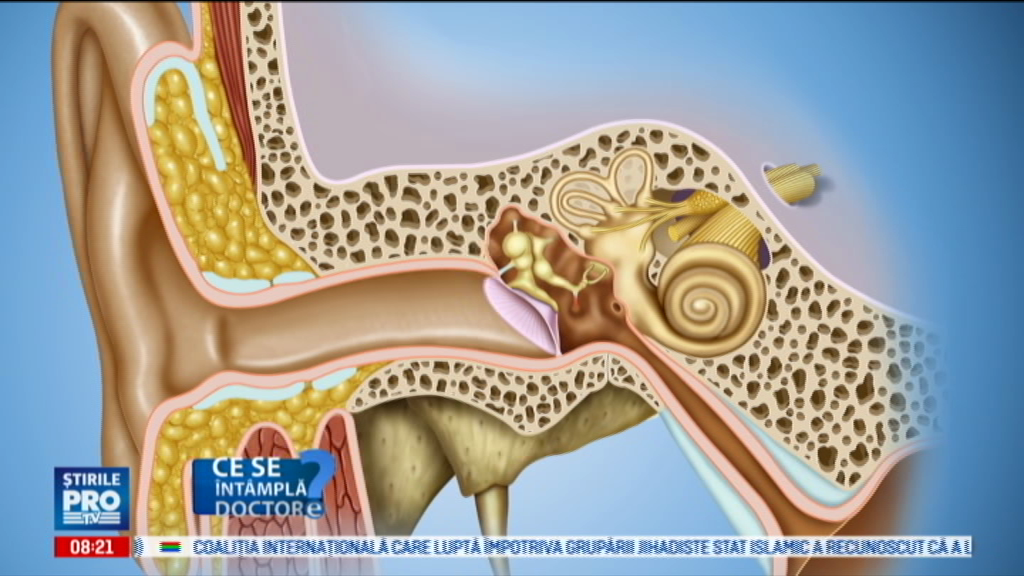 Greseala pe care o fac tot mai multi oameni cand vine vorba de igiena urechii. Ce spun medicii