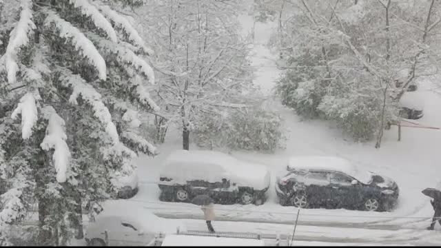 Bulgaria se afla sub cod galben de ninsori si vant puternic. In unele zone, stratul de zapada are 20 de centimetri