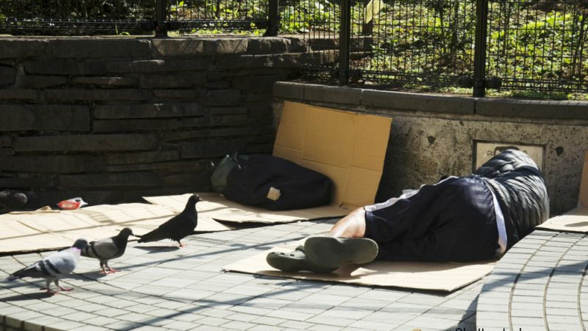 Doi studenti i-au oferit mancare si adapost unui barbat, crezand ca e fara adapost. Ce secret infiorator ascundea barbatul