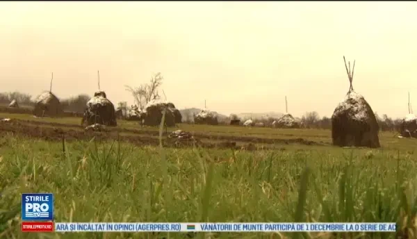 A facut emisiuni la MTV iar acum a fost aleasa primar intr-o comuna din Arad. Prea tanara, nu stia viata la tara