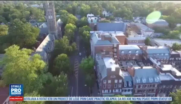 Matematiciana din Craiova care preda la Princeton si studiaza termitele din Africa. Descoperirile ei pot schimba politica