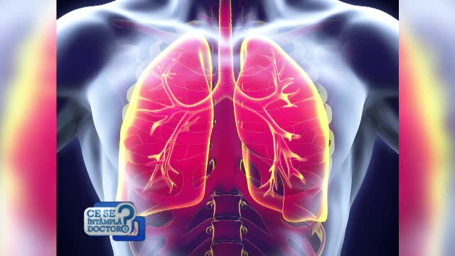 Plamanii pot fi afectati nu numai de fumat, ci si de incalzirea la semineu. Topul celor mai toxice medii pentru oameni