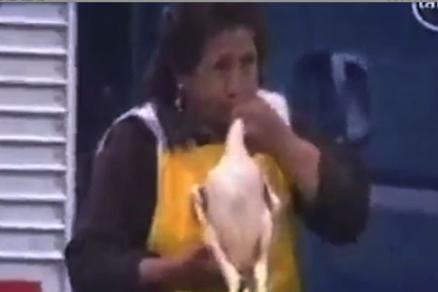 Au fost filmati in timp ce "pompau" aer cu propria gura in puii cruzi. Ce urmareau prin acest gest comerciantii ambulanti