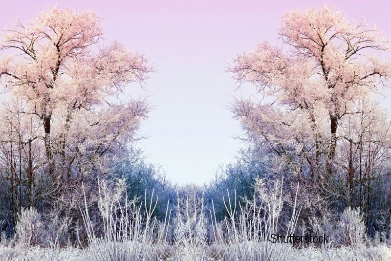 O femeie din Anglia nu isi mai paraseste locuinta atunci cand e iarna. Din ce cauza a dezvoltat aceasta fobie