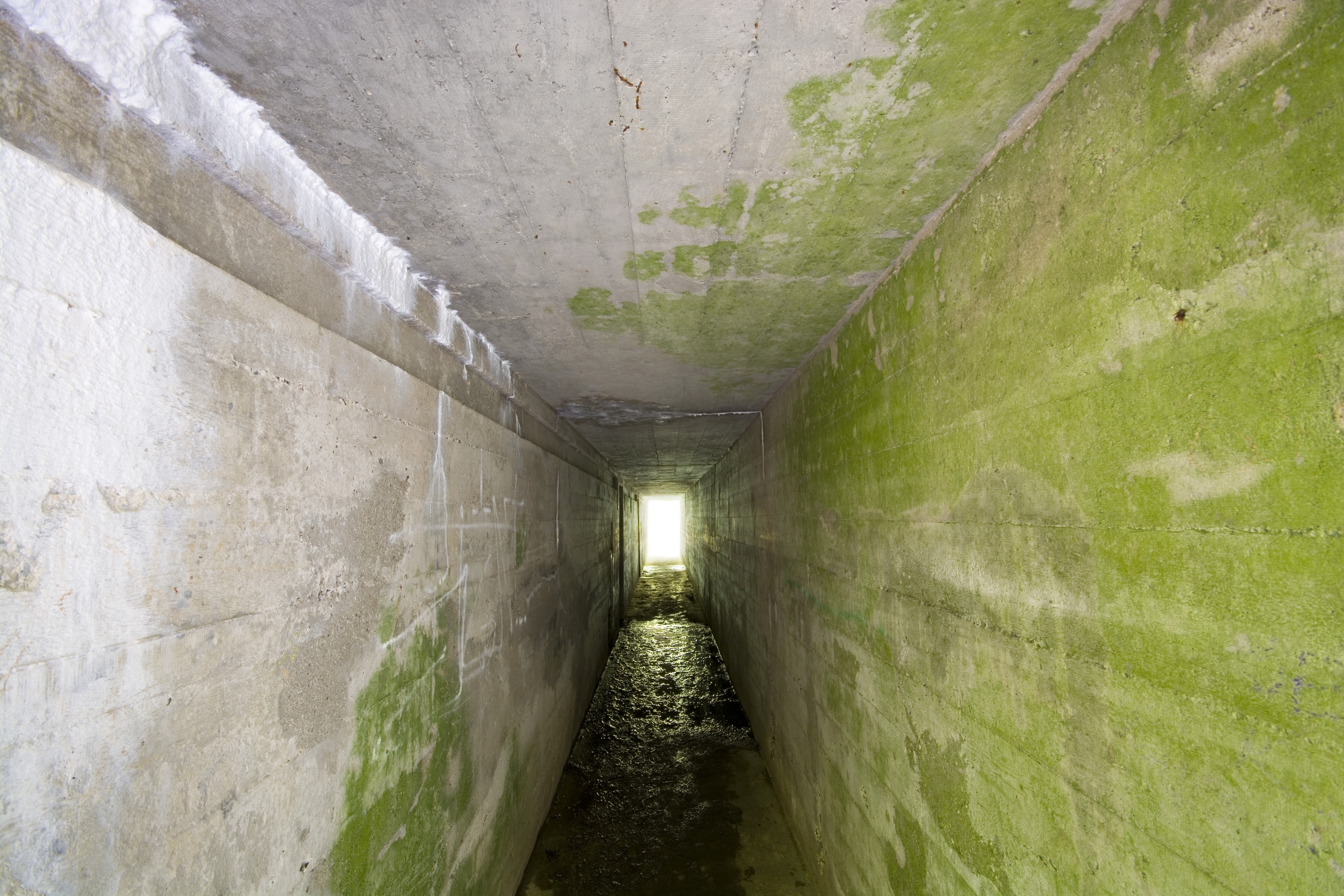 Le-au ascuns de nazisti in Al Doilea Razboi Mondial si nimeni nu le-a mai gasit. Descoperirea facuta dupa 70 de ani