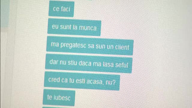 Cazul romanului concediat dupa ce a vorbit cu iubita, la serviciu, pe messenger. Statul francez ii ia apararea in fata CEDO