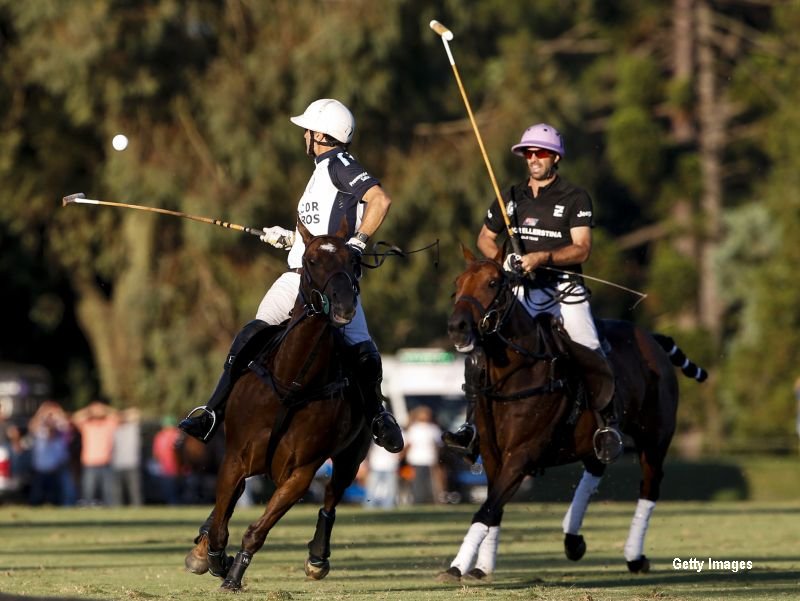 Polo
