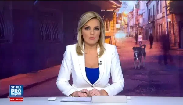 Imagini socante: un individ din Galati si-a lasat cainele pitbull sa sfasie o pisica. Reactia halucinanta a tanarului