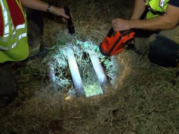 O fetita de opt luni a supravietuit miraculos unui accident auto. A fost aruncata la opt metri si a ajuns intr-un sant