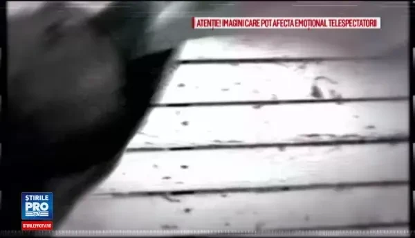 Ancheta in cazul barbatului din Galati care si-a pus cainele sa sfasie o pisica. Politia a descoperit ce antecedente are