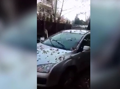 Doi soti din Baia Mare au trecut printr-o spaima cumplita in timp ce traversau cu masina un parc. Ce a cazut pe autoturism