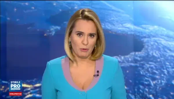 De unde provin brazii scosi la vanzare pentru Craciun. Suma uriasa pe care o poate castiga un proprietar de pepiniera