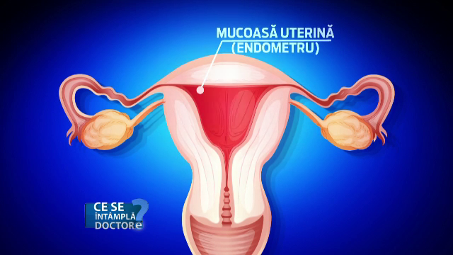 Cum sa le explicam adolescentelor ce este menstruatia. Jena parintelui nu face altceva decat sa le sperie