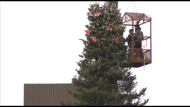 Locuitorii din Montreal, rusinati de bradul din orasul lor. "Este o uratenie"
