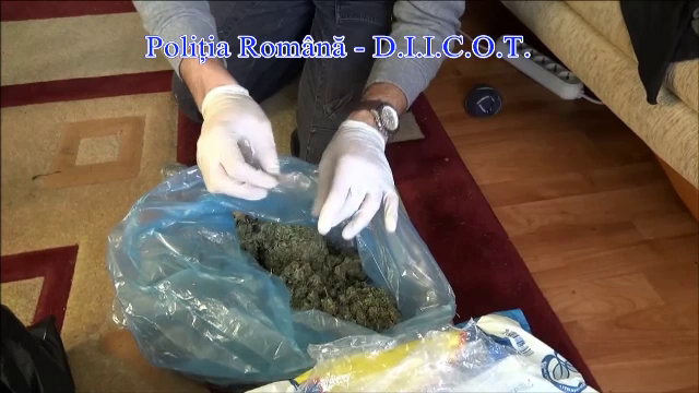 Cinci kilograme de cannabis si 19 grame de cocaina, confiscate de DIICOT la Brasov. Unde urmau sa ajunga drogurile