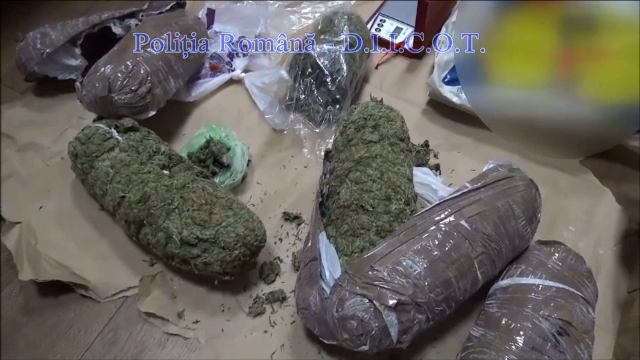 Un barbat din Arad a incercat sa vanda 70 de grame de canabis unui politist sub acoperire. Ce s-a intamplat dupa aceea