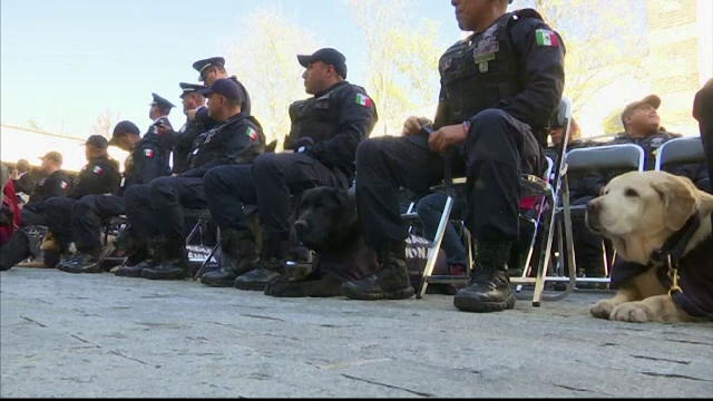 Noua caini politisti din Mexic au fost adoptati de catre partenerii lor. La ce misiuni periculoase participau