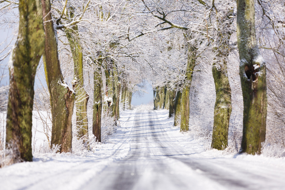 Temperaturile cresc, iar in sud si est va fi mai cald decat in mod obisnuit. Cum va arata vremea in weekend
